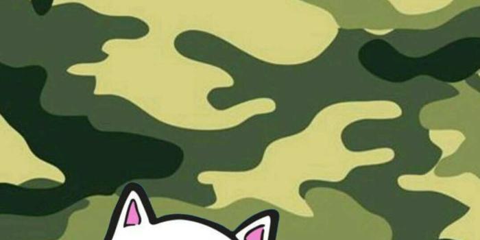 1077x1792 Incredible Rip N Dip Wallpaper Tumblr Regarding aspiration Ripndip