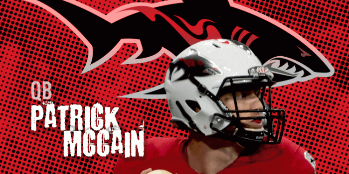750x1330 Jacksonville Sharks: Wallpaper