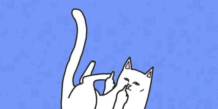 1085x1416 Download Ripndip Iphone Wallpaper (69+) - Free Wallpaper For your