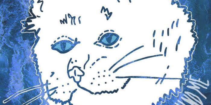 744x1392 Ripndip Wallpaper Logo - LogoDix