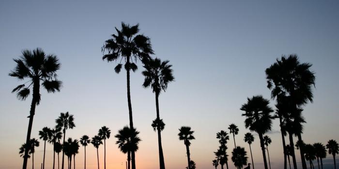 1440x810 California Tumblr Wallpapers Images For Free Wallpaper | Wallpaper
