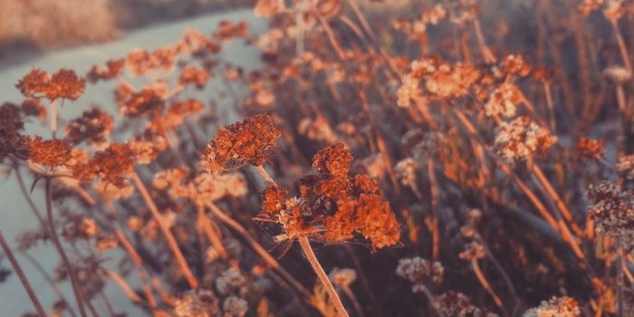 1000x1333 peach aesthetic | 25 best free sunset, sunrise, cloud and orange