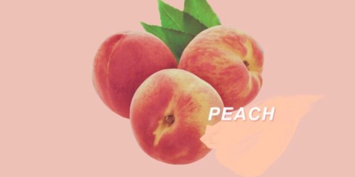 719x1280 Image about cute in peachy by We're all mad here.