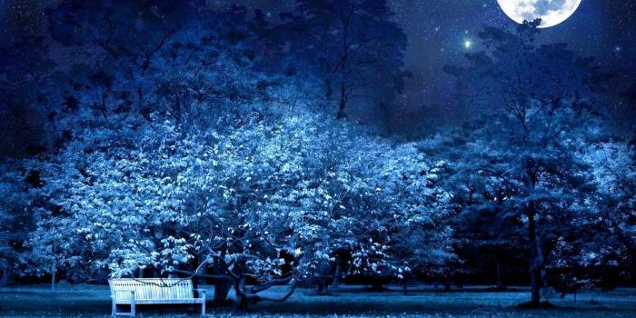 1920x1200 Blue Nature Wallpapers