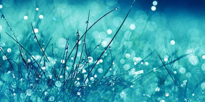 1920x1277 Blue Nature Wallpapers