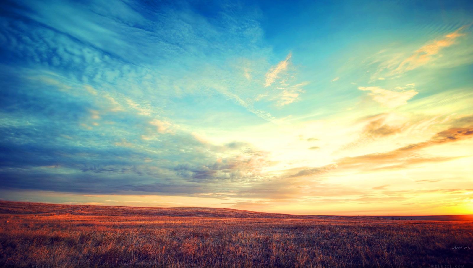 1600x908 50 Beautiful Nature Wallpapers for your Desktop Mobile and Tablet - HD