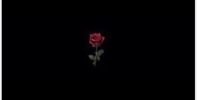 687x1187 65583676 black aesthetic wallpaper | Tumblr | Hình nền in 2019