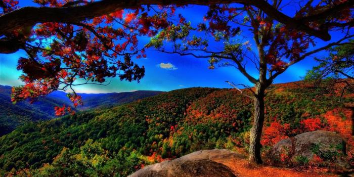 1920x1080 Full HD Nature Wallpapers (67+ images)