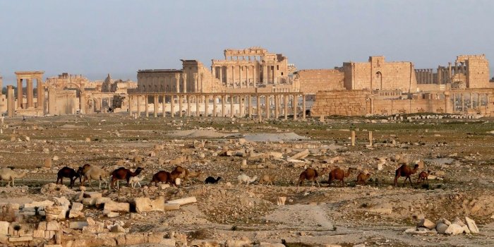 1332x850 Wallpaper The city, Desert, The ruins, history, camels, caravan