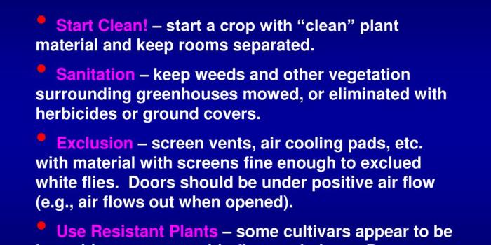 1024x768 PPT - Greenhouse Pests Insect & Mite Pests PowerPoint Presentation