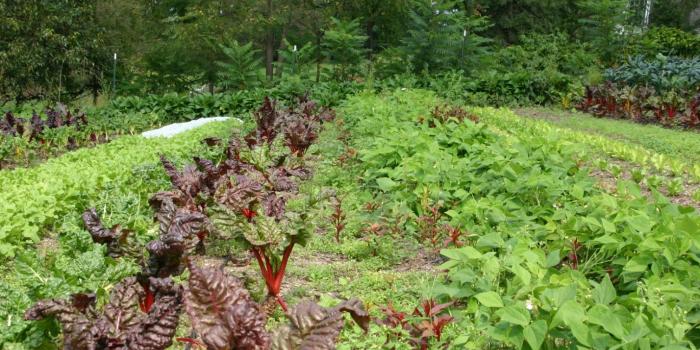 1428x953 2012 | Cornell Small Farms Program | Page 10