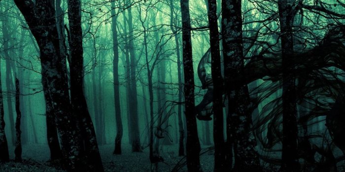 1280x800 slytherin aesthetic moodboard | Tumblr | Slytherin in 2019 | Spooky