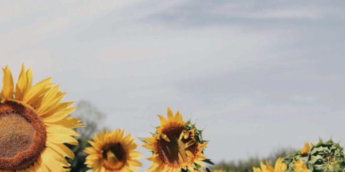 750x1334 like/reblog if saving