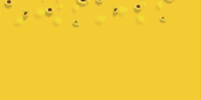 1024x1024 ☀️dunno☀️ @yellow_aesthetic203 Instagram Profile | Picdeer