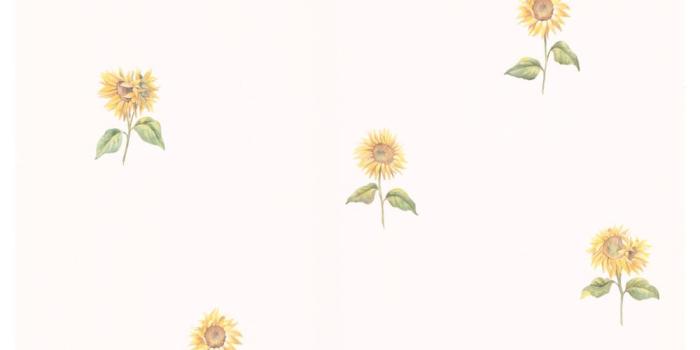 1000x1000 Drawn Sunflower aesthetic 18 - 1000 X 1000 | Dumielauxepices.net