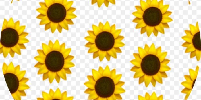 900x920 Emoji Clipart png download - 3478*3484 - Free Transparent Tiktok png