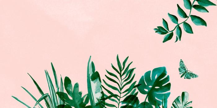 1856x1161 Aesthetic Laptop Wallpapers