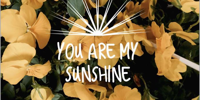 3024x4032 Yellow iphone wallpaper tumblr