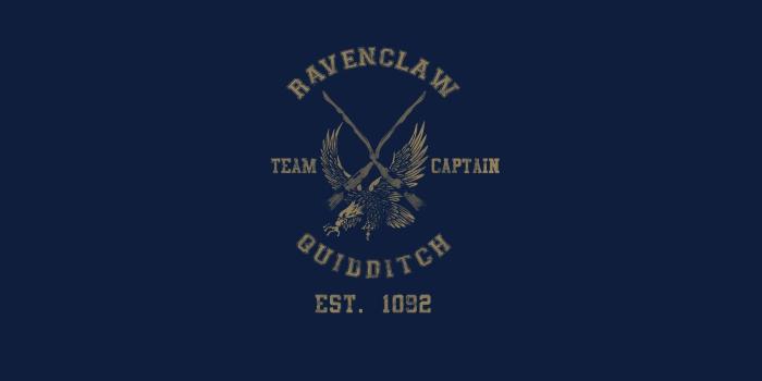 1920x1200 Quidditch Wallpapers - Top Free Quidditch Backgrounds - WallpaperAccess