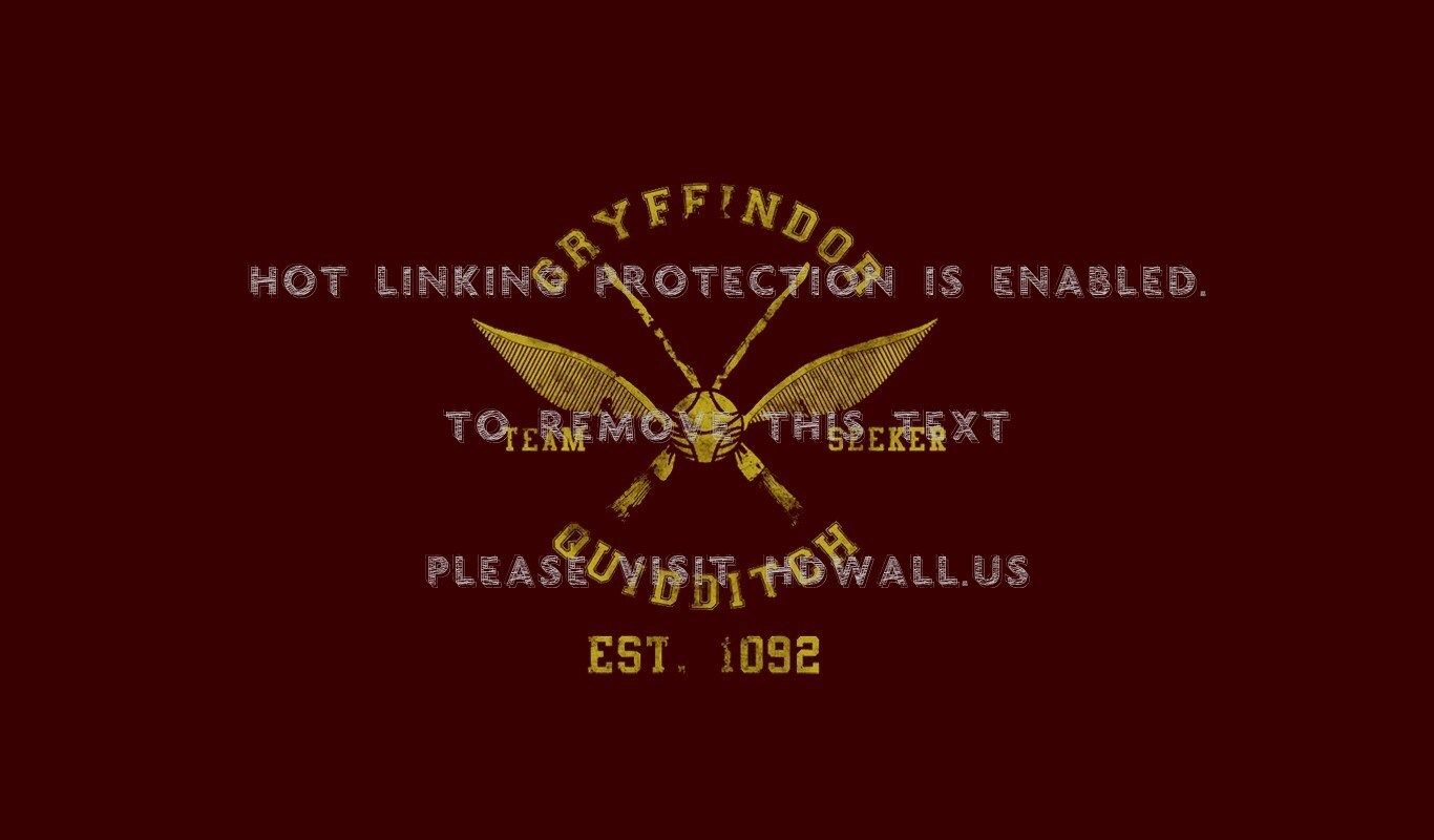 1366x800 Gryffindor Quidditch Potter Harry Wallpaper