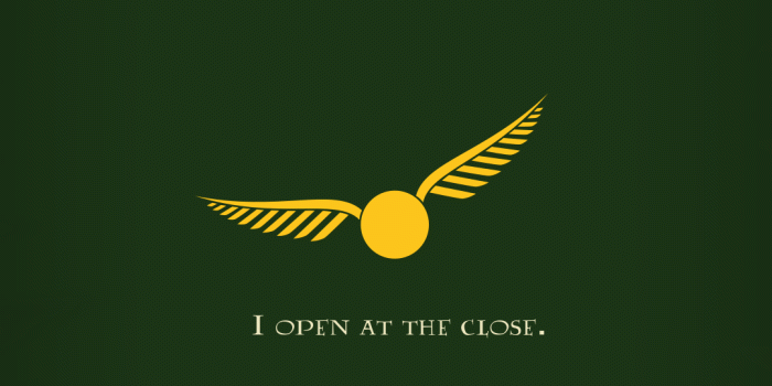 1080x1920 Gryffindor Quidditch Iphone Wallpaper ✓ The Galleries of HD Wallpaper