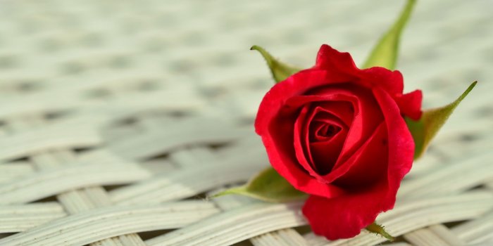 1920x1080 Red Rose Romantic Wallpaper - Wallpaper Stream