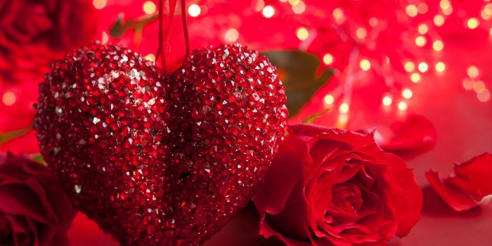 3840x2160 Wallpaper Rose, 5k, 4k wallpaper, heart, Valentine's Day, love