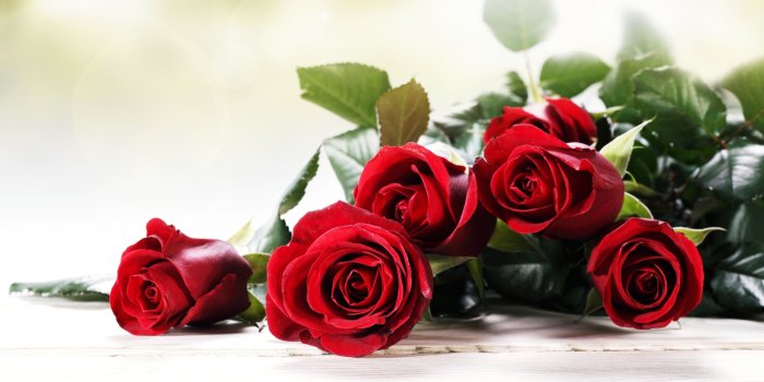 3840x2400 Roses, Red, Flowers, Love, Romance, Emotions, You, - Rose Love