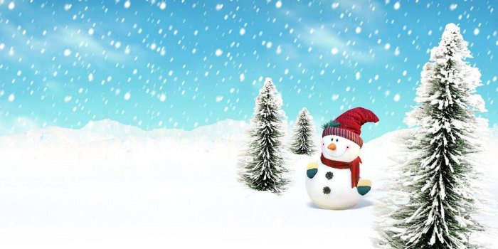1600x1000 Free Snowman Wallpapers