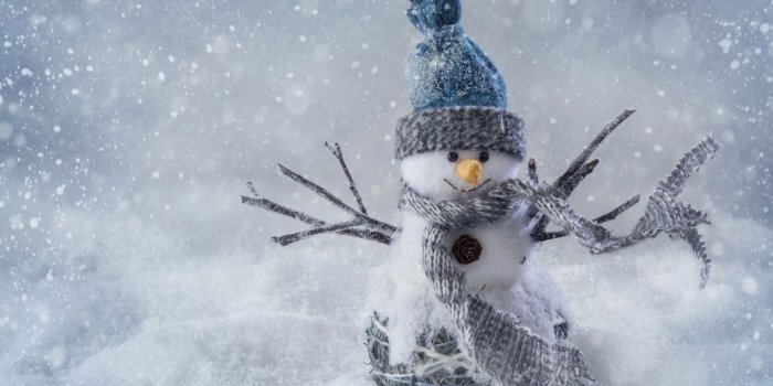 1920x1440 Group of Winter Snowman Wallpaper For Computer