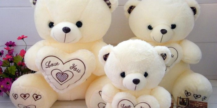 1600x1200 Teddy Love Bears Romantic Wallpaper | PNG Transparent best stock photos