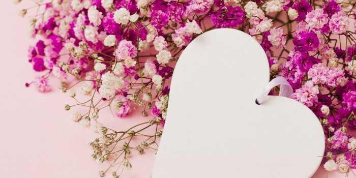 1332x850 Wallpaper love, flowers, background, pink, heart, love, heart, pink