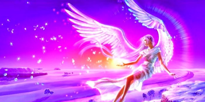 1080x810 Live Moving Wallpapers Free Download | Wallpapers Ninja