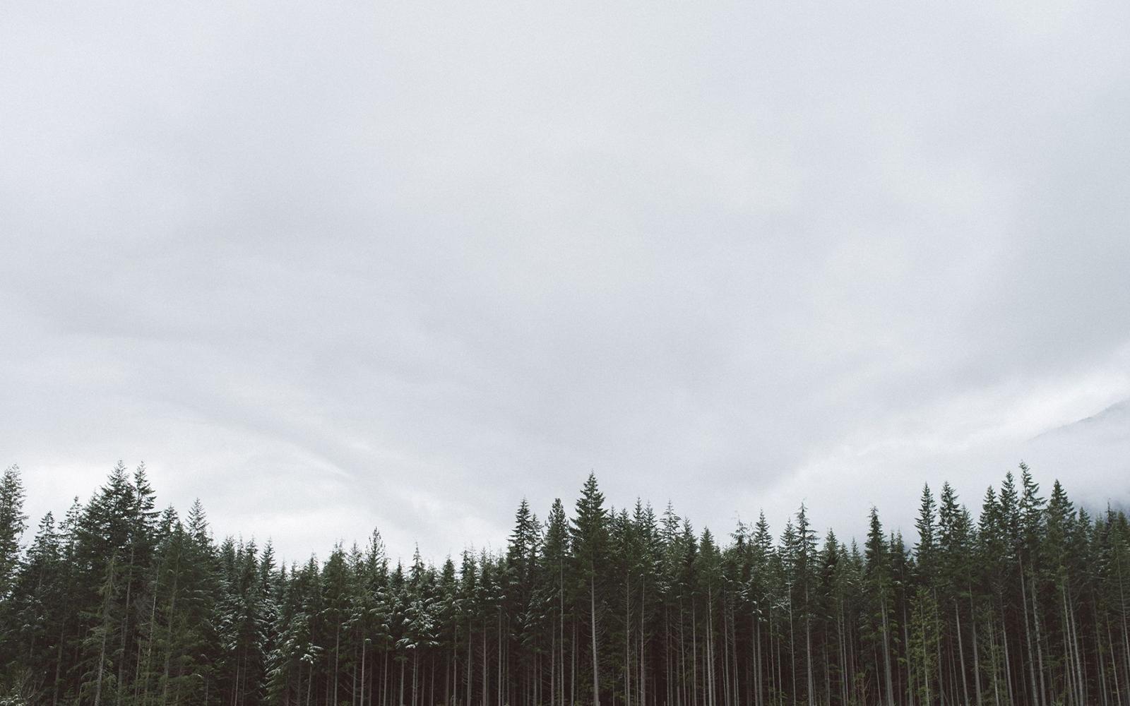 1856x1161 Design Love Fest | rad. in 2019 | Nature desktop wallpaper, Winter