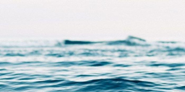 706x1294 20 Aesthetic Wallpaper Ideas for Your Iphone for 2019 - Do It Before Me