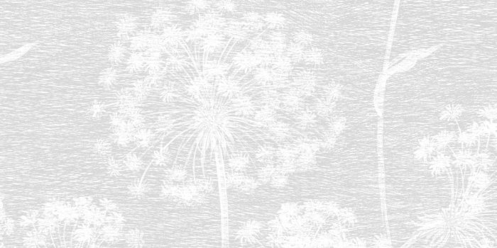 1000x1229 Dandelion by Albany - Soft Grey - Wallpaper - CB42126
