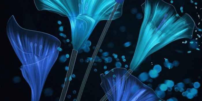 854x1590 Cyn Rena on Phone Wallpapers in 2019 | Blue flower wallpaper