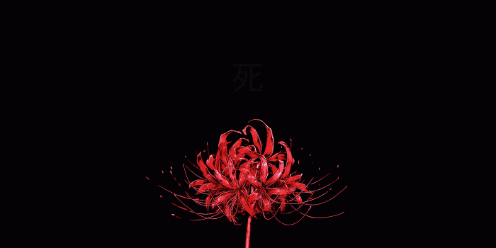 1920x1080 Red Aesthetic Computer Wallpapers - Top Free Red Aesthetic Computer