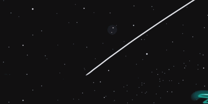 1299x2814 wallpaper iphone x | iphone wallpaper in 2019 | Homescreen wallpaper