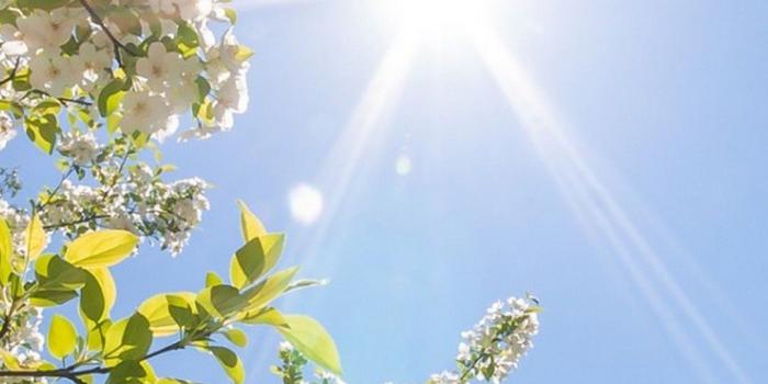 1080x1920 Hello Spring Wallpaper For iPhone | iPhoneWallpapers | Spring