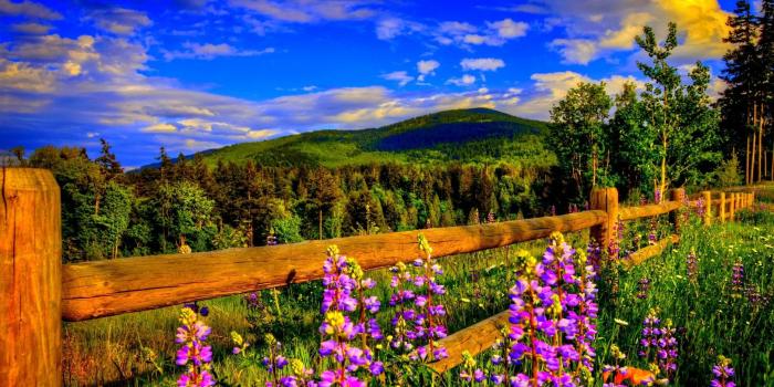 1920x1080 63+ Springtime Wallpapers on WallpaperPlay