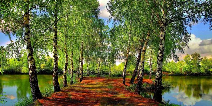 2560x1600 Beautiful spring wallpapers, Pictures, Images