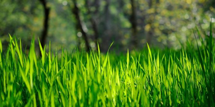 1920x1200 25 Stunning Spring Wallpapers