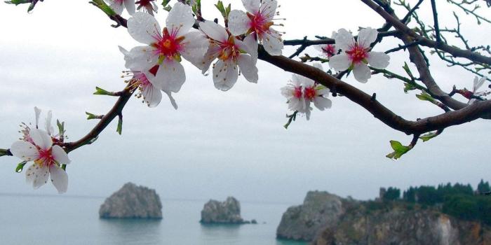 1280x1024 Spring Season ❤ 4K HD Desktop Wallpaper for 4K Ultra HD TV • Wide