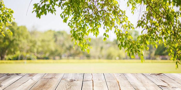 1500x1023 Cheap Spring Wallpaper Backgrounds, find Spring Wallpaper