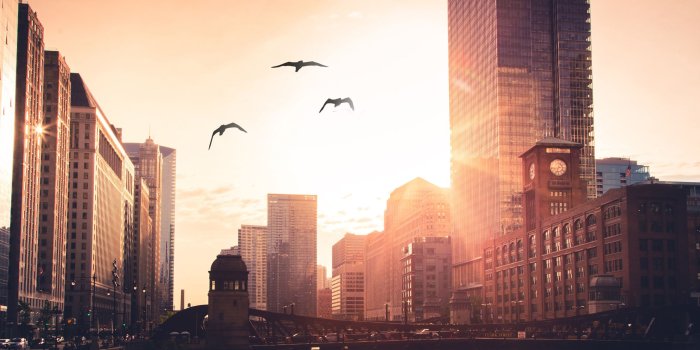 2560x1440 2560x1440 Morning City Rise Birds Flying 1440P Resolution HD 4k