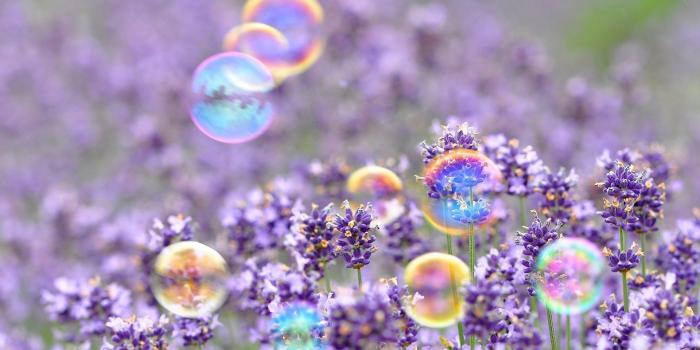 1920x1200 3D Spring Wallpaper 405 - HDWPro