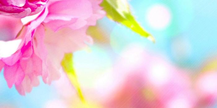 1080x1920 Cute Spring Wallpaper iPhone | 2019 3D iPhone Wallpaper