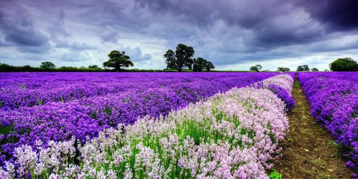 1920x1080 35 Beautiful Spring Pictures and Wallpapers