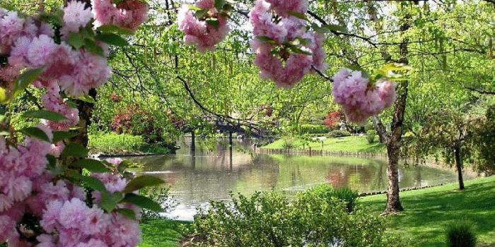 1600x900 Spring Wallpaper Free Springtime Wallpaper 1600 X - Desktop